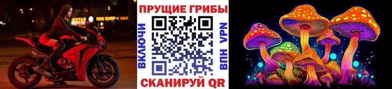 Купить  Бугуруслан  Псилоцибиновые грибы MAGIC MUSHROOMS 